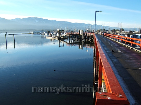 Photo of Deep Bay Marina