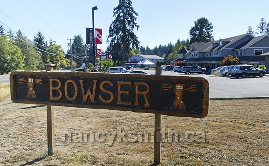 Photo of Welcome To The Bowser Mall