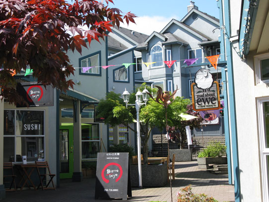 Photo of Fitzwilliam Street shops in Nanaimo
