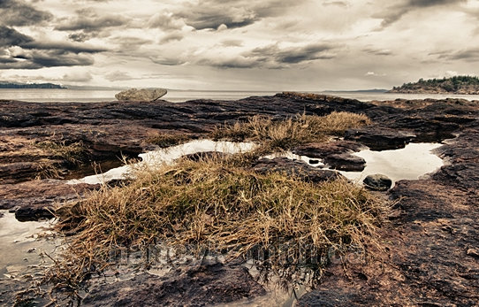 Photo of Beachcomber Marine Park