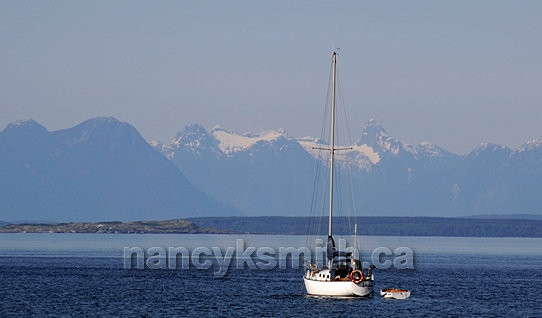 Photo of Coast Mountains On Mainland Bc Across From Nanoose Bay Area