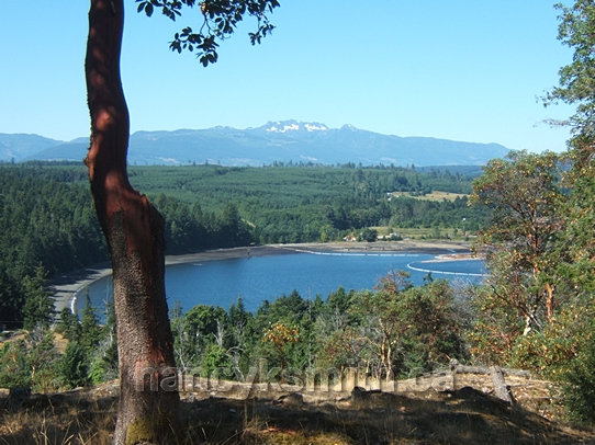Photo of Looking Across Northwest Bay To Mount Arrowsmith
