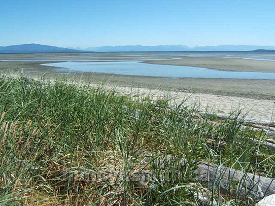 Photo of Rathtrevor Beach