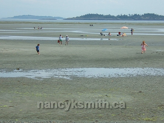 Photo of World Class Rathtrevor Beach At Low Tide