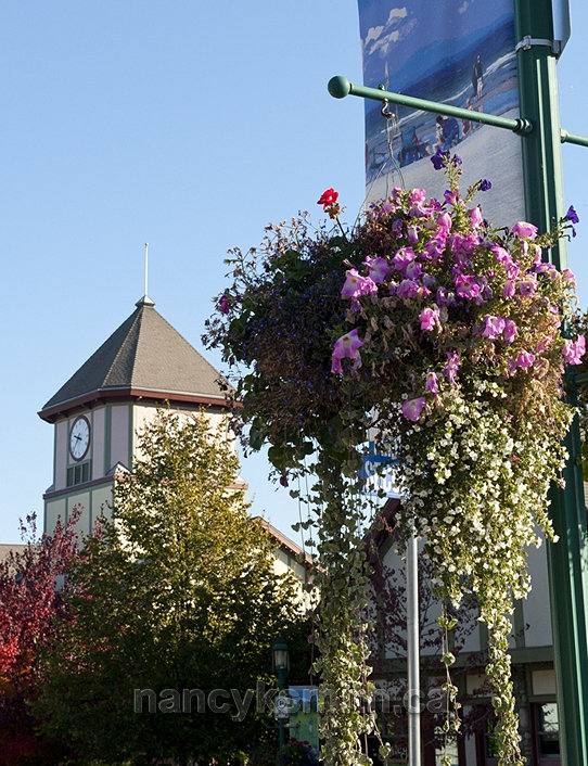 Photo of Well Cared For Village Centre